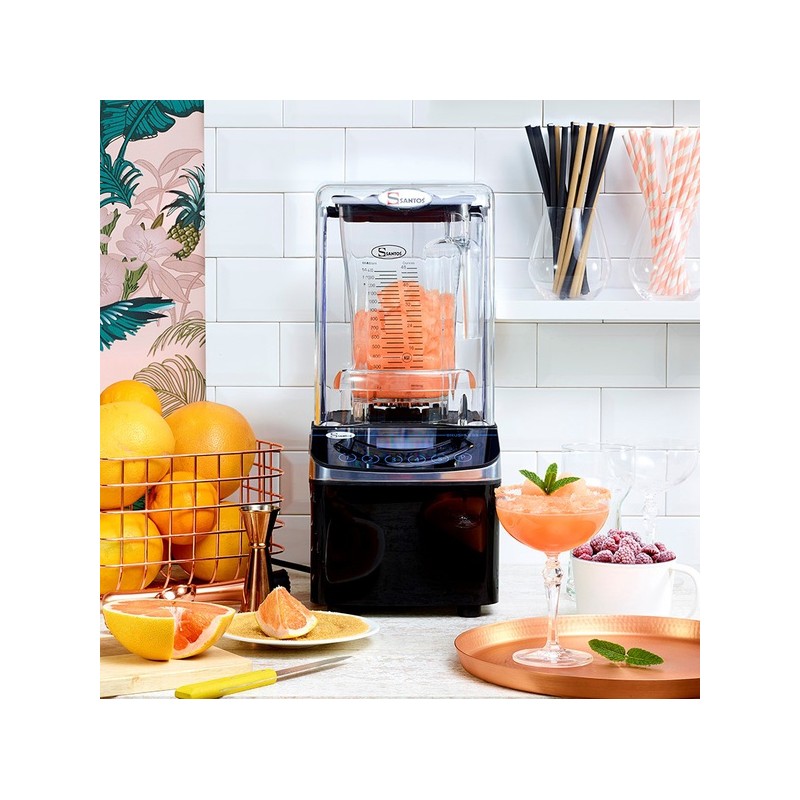 Blender à smoothie - 2,4 L