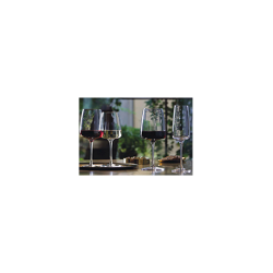 6 VERRES A VIN NEXO 54CL