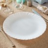 24 ASSIETTES PLATES FESTON 25CM