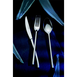 Lot de 12 couteaux de table X-LO