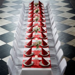 SERVIETTES BIO-DUNISOFT 40X40 BORDEAUX  X 360