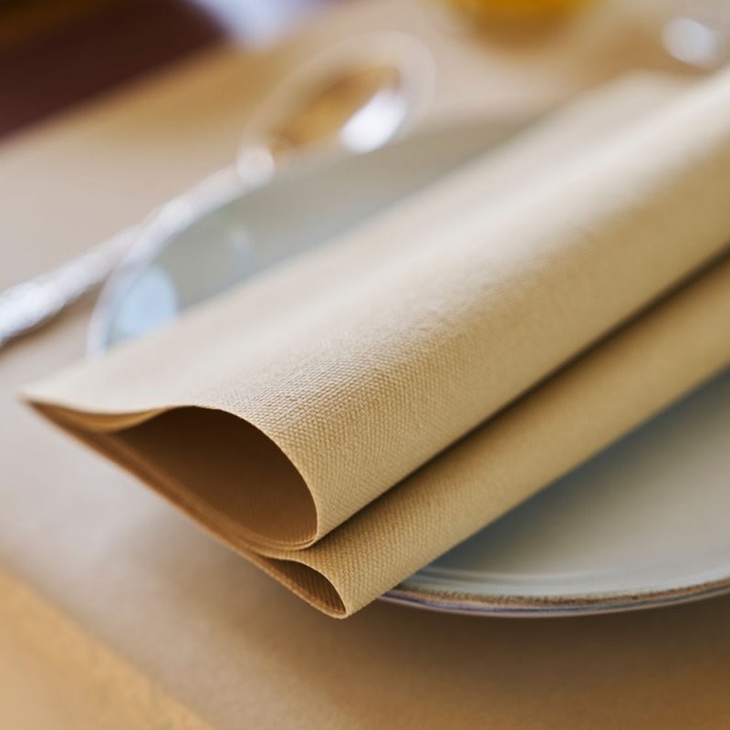 SERVIETTE BIO-DUNISOFT 40X40 CM BRUN NATUREL X360