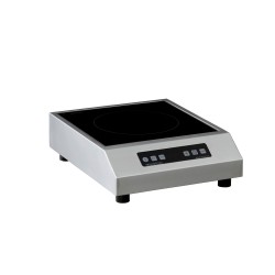 Plaque induction 2500 W
