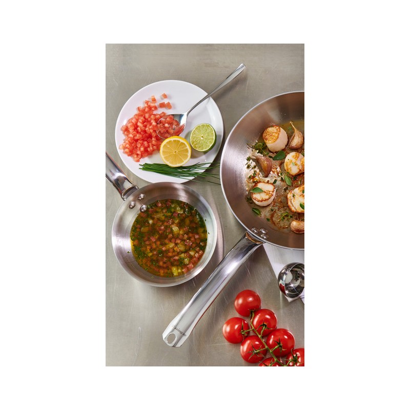 POELE ALCHIMY 32CM DEBUYER