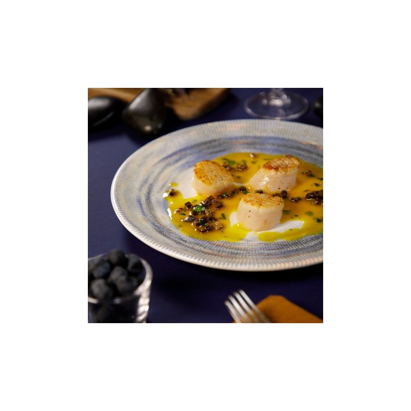 6 ASSIETTES PLATES SANS AILES 27 CM NYX BLANC.BLEU & ARGENT