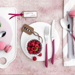 6 COUTEAUX DE TABLE PRISMA FRAMBOISE