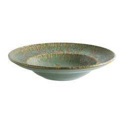 6 ASSIETTES A PATES SAGE SNELL 27 CM