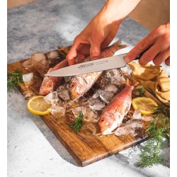 FILET DE SOLE 17 CM UNIVERSAL