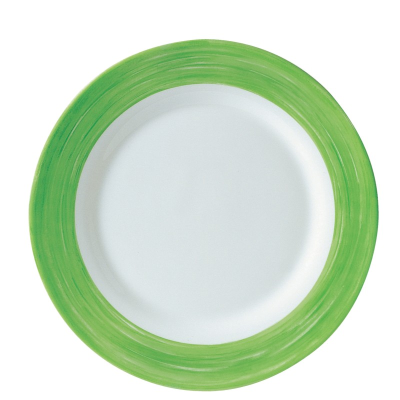 6 ASSIETTES PLATES 23.5CM  VERT