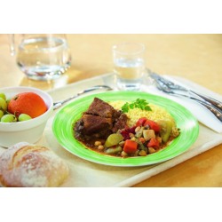 6 ASSIETTES PLATES 23.5CM  VERT