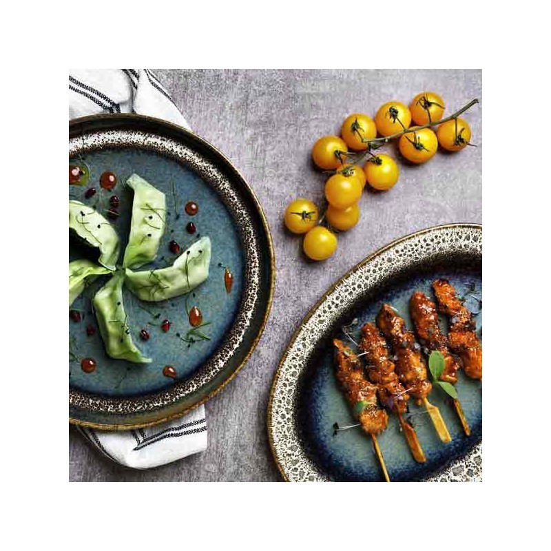 6 ASSIETTES PLATES 27CM BLOOM BLUE AND BROWN