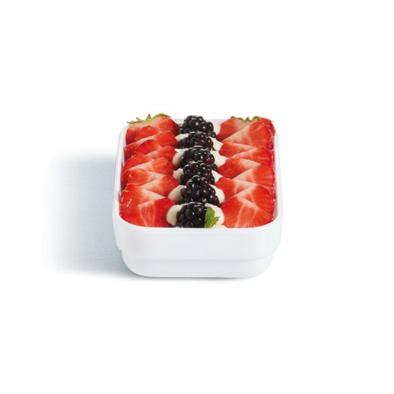 6 RAVIERS RECTANGULAIRES 14X9X3.5CM RESTAURANT