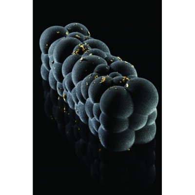 MOULE BUCHE SILICONE ATOMIC