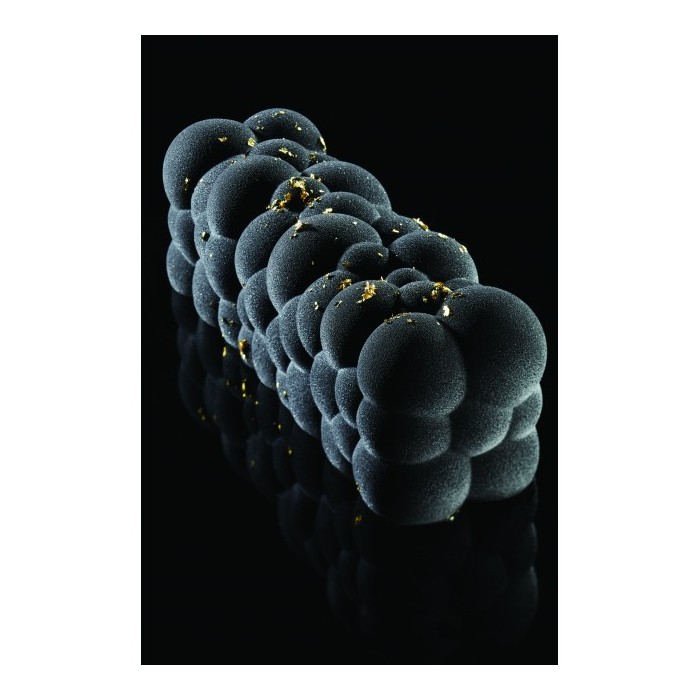 MOULE BUCHE SILICONE ATOMIC