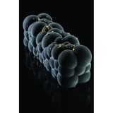 MOULE BUCHE SILICONE ATOMIC