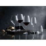 6 VERRES A PIEDS ATELIER PINOT NOIR 61CL