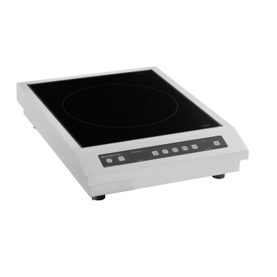 PLAQUE INDUCTION BRIC3600