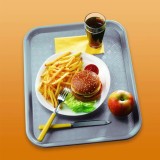 40 PLATEAUX FAST FOOD 46X36CM-GRIS