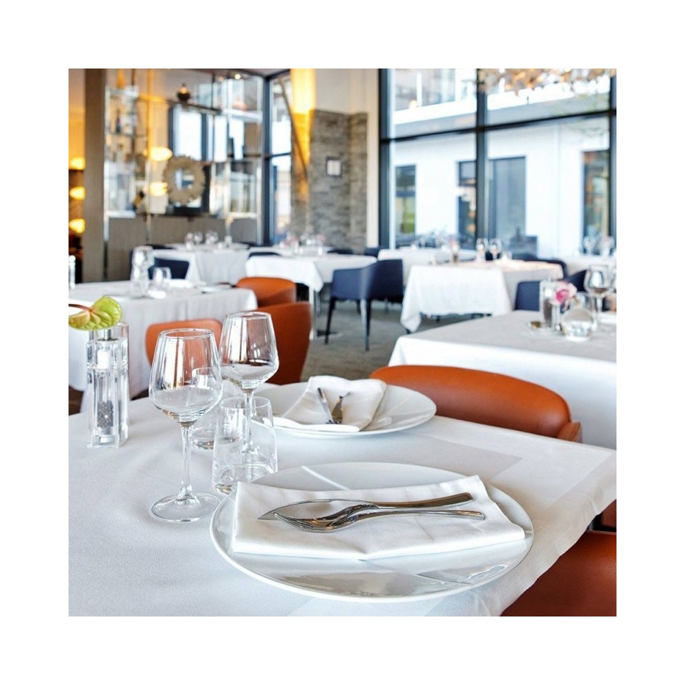 50 SERVIETTES DE TABLE 50 X 50 CM