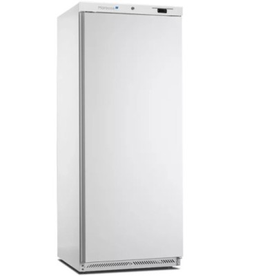 ARMOIRE BLANCHE POSITIVE GN 2/1 1 PORTE