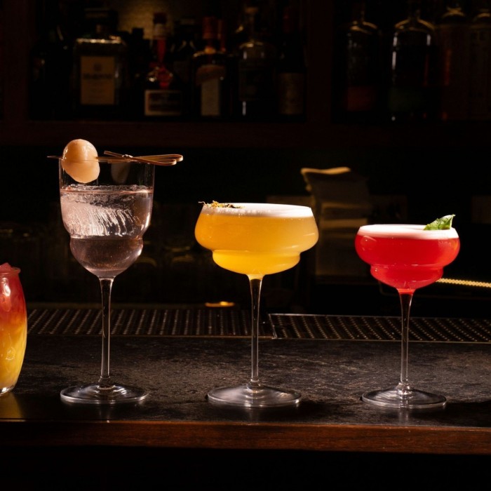 12 VERRES BACKDOOR -GIN TONIC