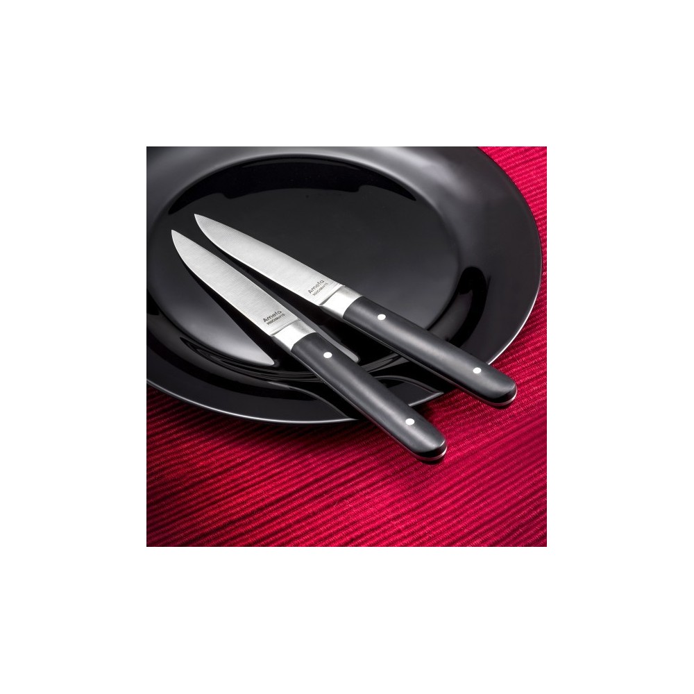 COUTEAU A STEAK FUSION X12