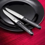 COUTEAU A STEAK FUSION X12