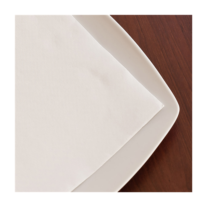 2400 SERVIETTES COCKTAIL 20X20 BLANCHES DOUBLE POINTS