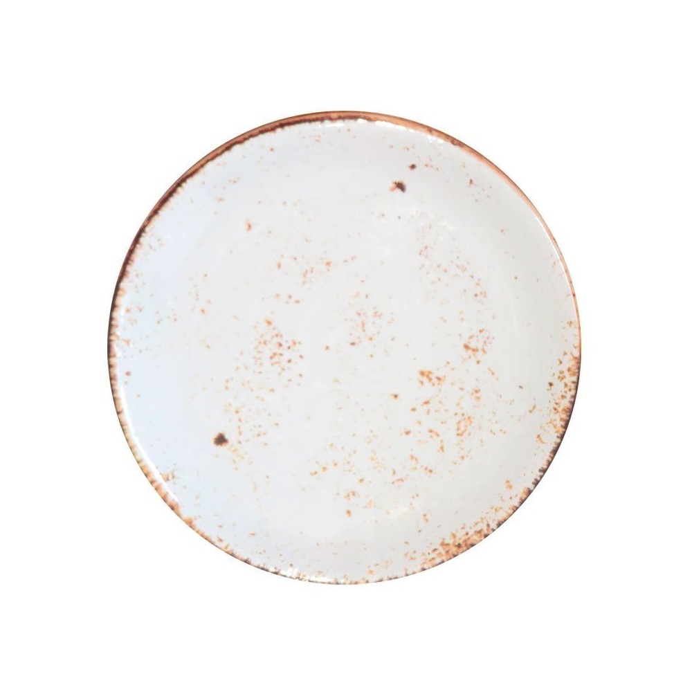 ASSIETTE PLATE MELAMINE -SALSA X 12