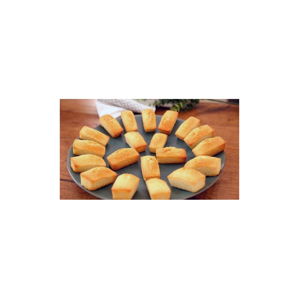 20 FINANCIERS FLEXI 49 - SF025