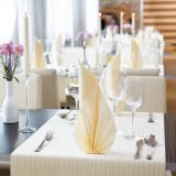 Serviettes 40x40 cm 2 Plis Crème DUNI | Ouate Lisse Professionnelle