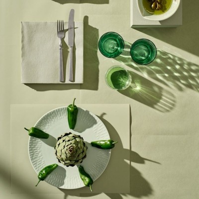 SERVIETTE BIO-DUNISOFT 40X40 CM PISTACHE X360