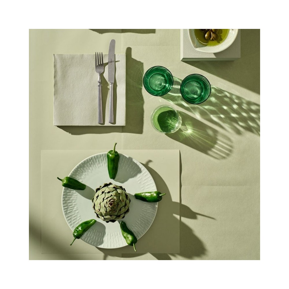 SERVIETTE BIO-DUNISOFT 40X40 CM PISTACHE X360