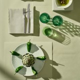 SERVIETTE BIO-DUNISOFT 40X40 CM PISTACHE X360