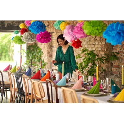 SERVIETTES BIO-DUNISOFT 40X40 NOISETTE  X360