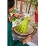 SERVIETTES BIO-DUNISOFT 40X40 KIWI X360