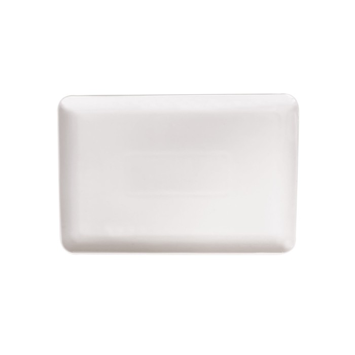 6 ASSIETTES RECTANGLE  PYROS 31X21 CM