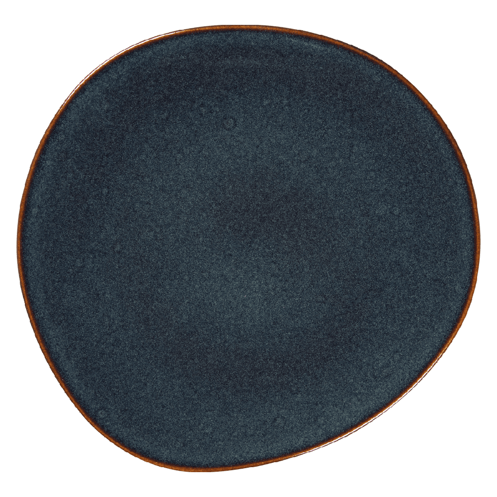 ASSIETTE PLATE 28CM NYMPHEAS  X 6