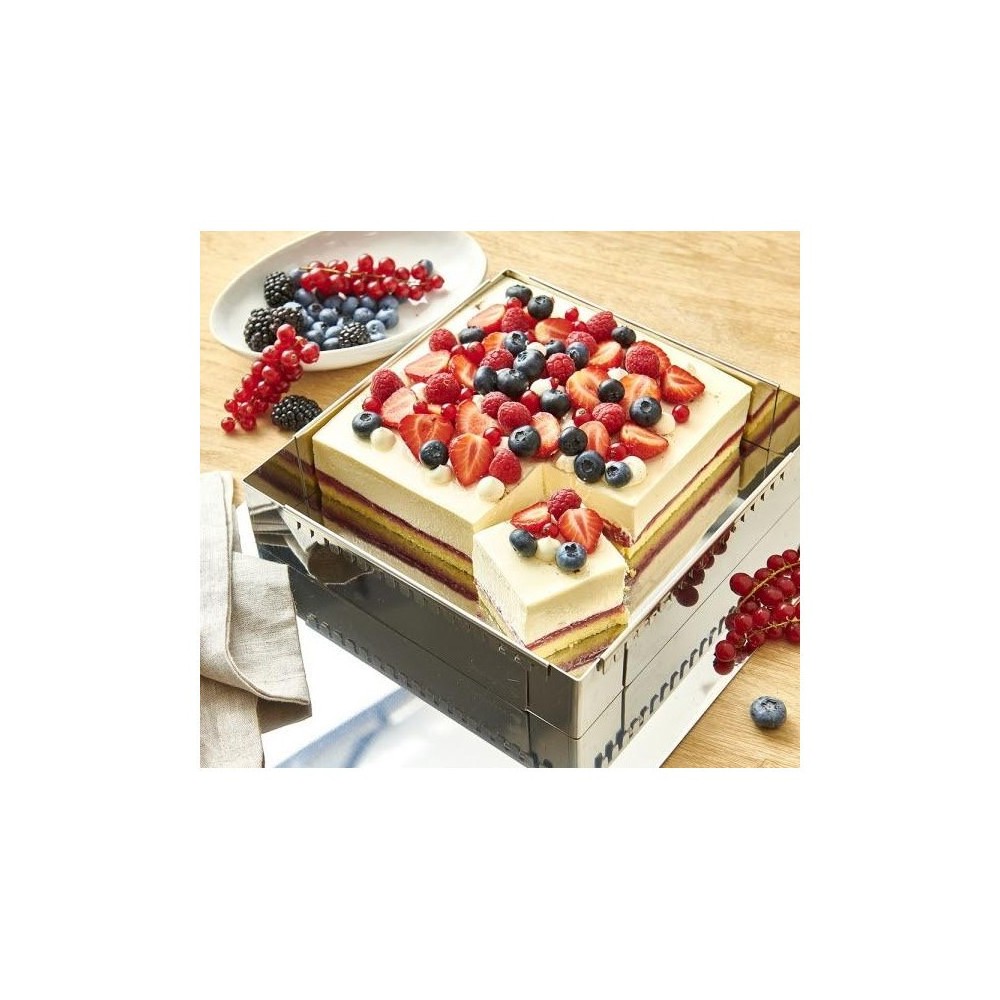 CADRE INOX EXTENSIBLE 16X16X5 JUSQUE 30X30X5