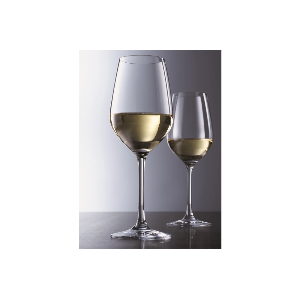 6 VERRES A PIEDS 50.4CL VINA