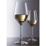 6 VERRES A PIEDS 50.4CL VINA