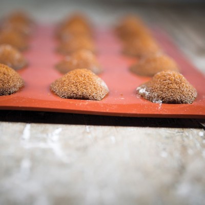 15 MINI-MADELEINES FLEXI 44- SILIKOMART