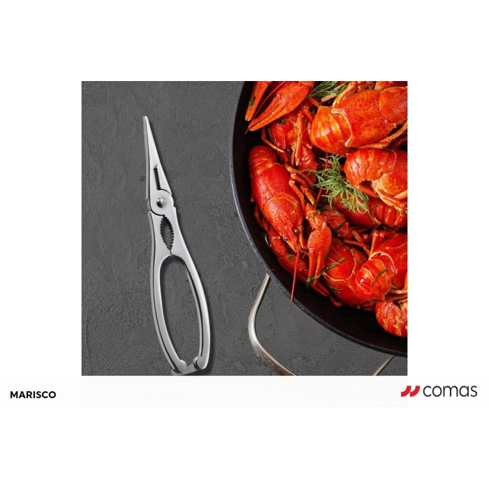 PINCE CASSE HOMARD