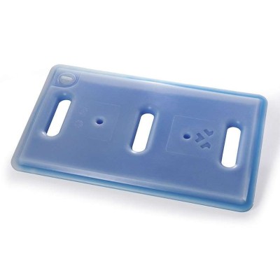 PLAQUE EUTECTIQUE SURGELEE GN1/1