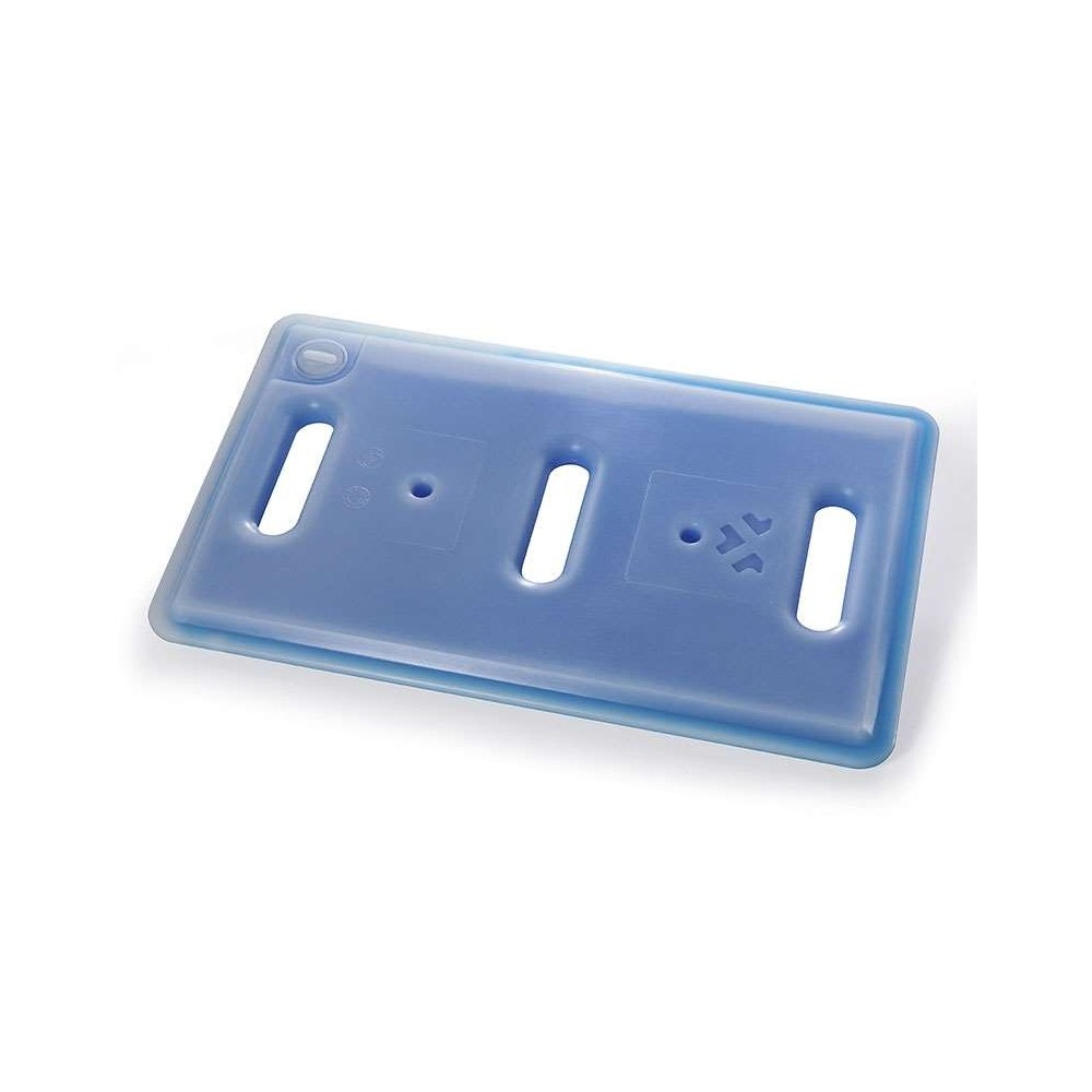 PLAQUE EUTECTIQUE SURGELEE GN1/1