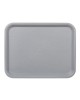 Plateau polypropylène gris 26x36 cm – Plateau fast food professionnel