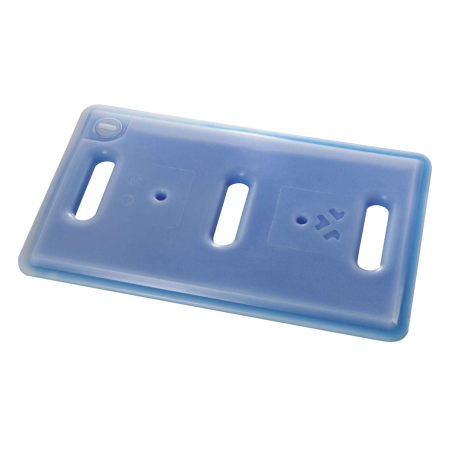 PLAQUE EUTECTIQUE SURGELEE GN1/1