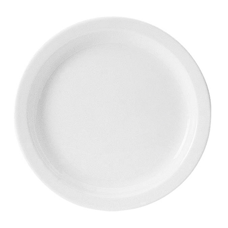 10 ASSIETTES PLATES 24CM UNISET