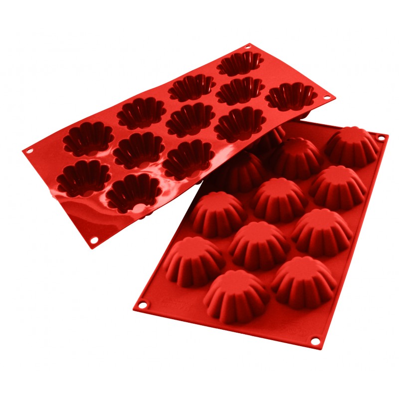 MOULE SILICONE