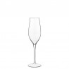 6 FLUTES VINEA 20 CL